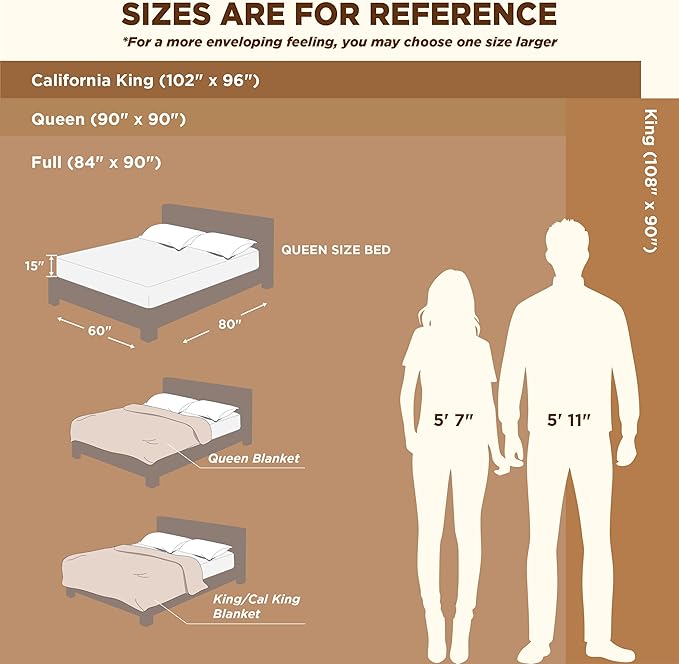 Bedsure GentleSoft Blankets Queen Size for Bed - Cozy Soft Blankets for Women, Cute Large Fleece Throws for Girls, Light Gray, 90x90 Inches