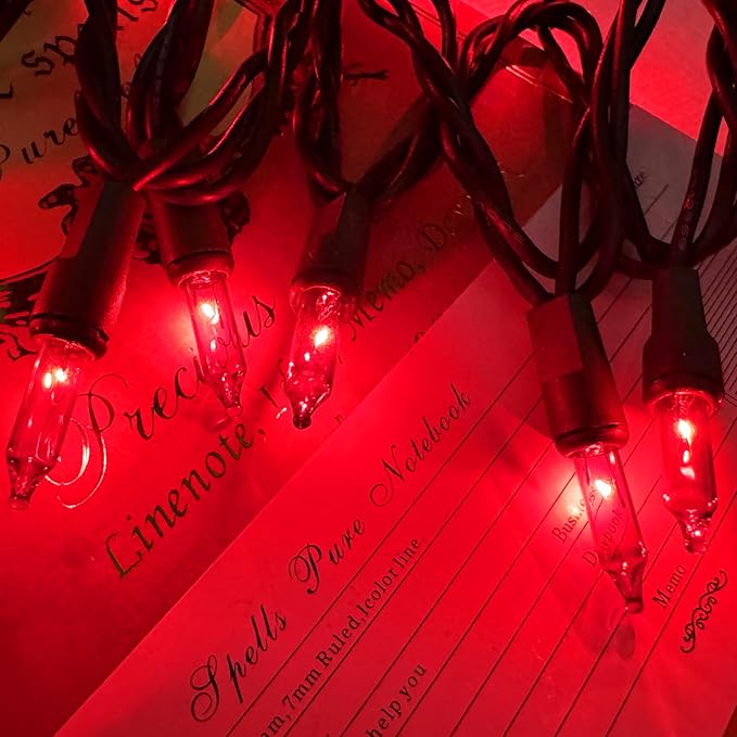 HISHINY Christmas Lights 100 Count Red Christmas Tree String Lights with Green Wire for Outdoor Indoor Christmas Decorations Wedding Decorations Valentines Day Decor,UL Certified (21feet)