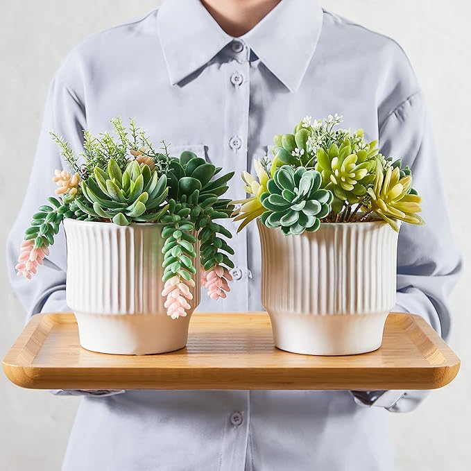 Artificial Succulent Plants, Faux Assorted Succulents Fake Plants in White Ceramic Pots for Home Decor, Bedroom, Office, Desk, Living Room, Set of 2
