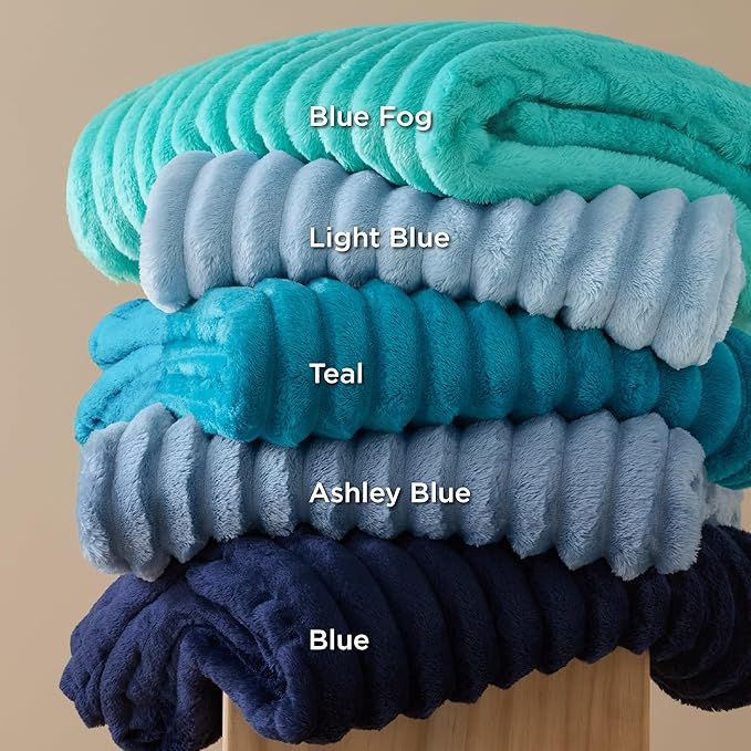 Bedsure GentleSoft Blue Fog Fleece Blanket for Couch - Cozy Soft Blankets for Women, Cute Small Throws for Girls, 50x60 Inches