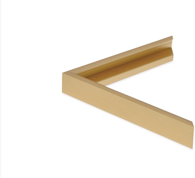 Frame My Mirror Gold Metal Framed Mirror, 20" x 24" Champagne Bronze Mirror for Bathroom, Metal Frame, True Reflections Glass, Stanton Design, Hangs Horizontally or Vertically, Made in USA