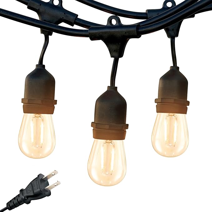 Brightech Ambience Pro - Waterproof LED Outdoor String Lights - 15 Hanging, Dimmable 2W Vintage Edison Bulbs - 48 Ft Commercial Grade Patio Lights Create Cafe Ambience in Your Backyard