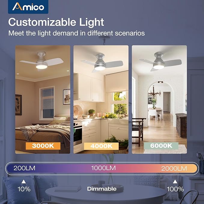 Amico Ceiling Fans with Lights, 30 Inch Low Profile Ceiling Fan with Light and Remote Control, Flush Mount, Reversible, 3CCT, Dimmable, Noiseless, Silver Ceiling Fan for Bedroom, Indoor/Outdoor Use