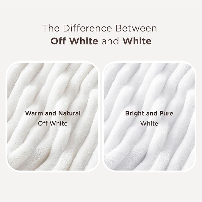 Bedsure GentleSoft Twin Blanket for Bed - Cozy Soft Blankets for Women, Cute Small Fleece Throws for Girls, Graduation Decorations Gift for Her Him School Dorm, Off White, 60x80 Inches