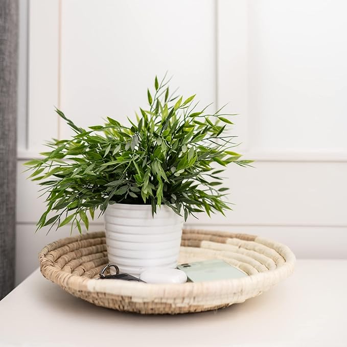 Hanging Woven Wall Basket Set - 7 Unique Handcrafted Seagrass Baskets for Boho, Farmhouse &amp; Rustic Wall Decor, Table Settings &amp; More - Ready to Hang with Nails &amp; Marking Pencil Included