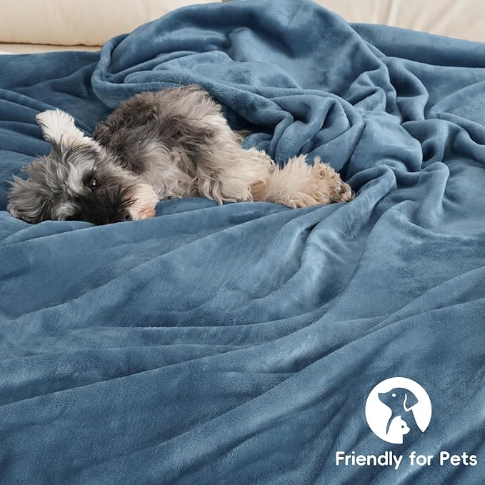 PHF Ultra Soft Fleece Blanket Twin Size, No Shed No Pilling Luxury Plush Cozy 300GSM Lightweight Blanket for Bed, Couch, Chair, Sofa Suitable for All Season, 66" x 90", Captain's Blue