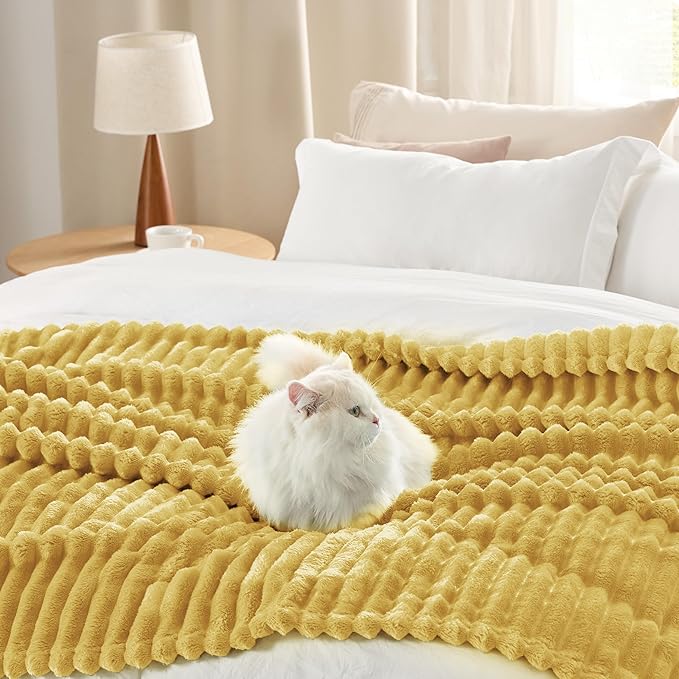 Bedsure GentleSoft Honey Fleece Blanket for Couch - Cozy Soft Blankets for Women, Cute Small Throws for Girls, 90x90 Inches