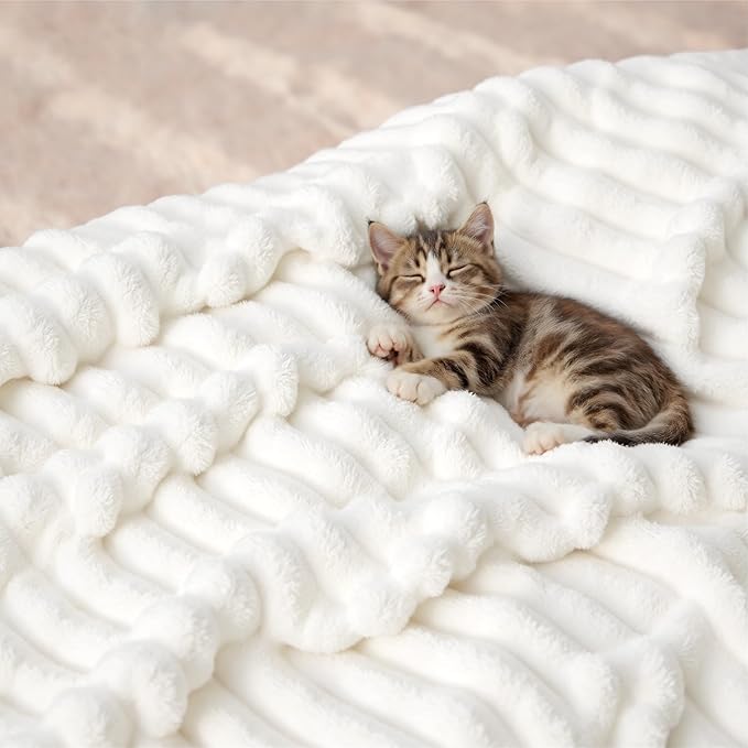 Bedsure GentleSoft Twin Blanket for Bed - Cozy Soft Blankets for Women, Cute Small Fleece Throws for Girls, Graduation Decorations Gift for Her Him School Dorm, Off White, 60x80 Inches