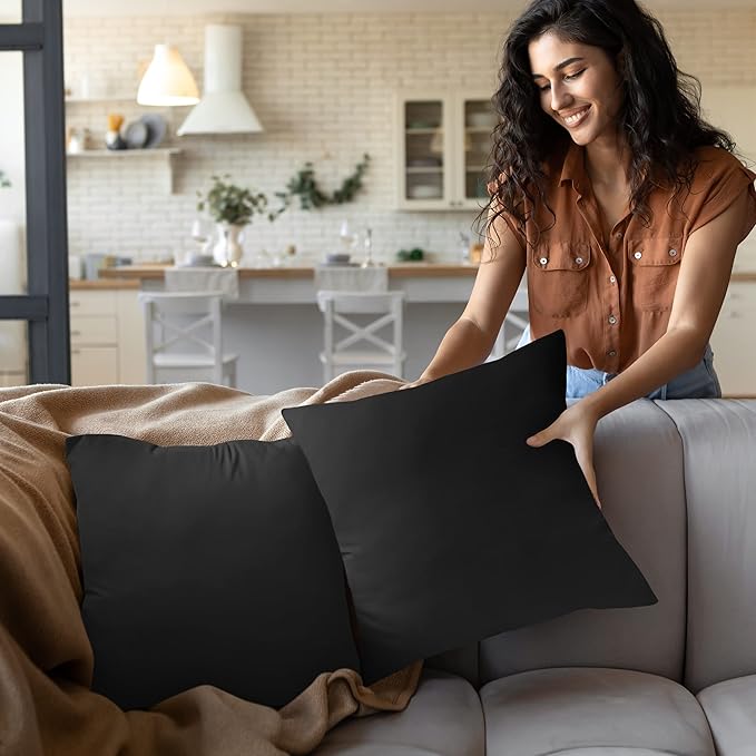 Utopia Bedding Throw Pillows Insert (Pack of 2, Black) - 22 x 22 Inches Bed and Couch Pillows - Indoor Decorative Pillow