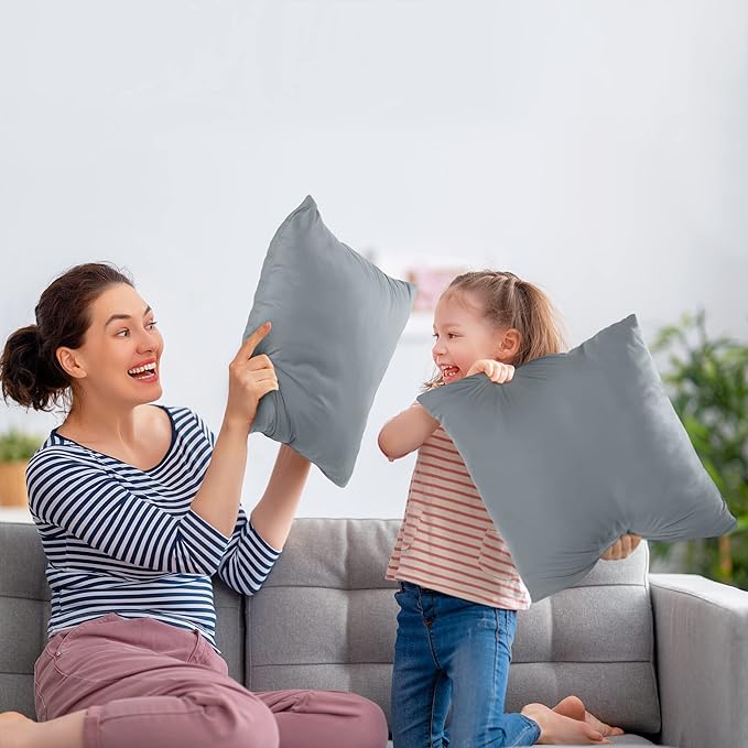 Utopia Bedding Throw Pillows Insert (Pack of 2, Grey) - 24 x 24 Inches Bed and Couch Pillows - Indoor Decorative Pillow