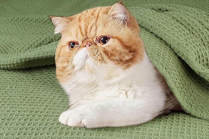 Tex Trend 100% Cotton Blanket – Soft and Breathable Twin XL Waffle Blankets – All Season Comfort – Suitable for Bed Layering, Sofa, Couch and Chair – Sage Green (60”x90”)