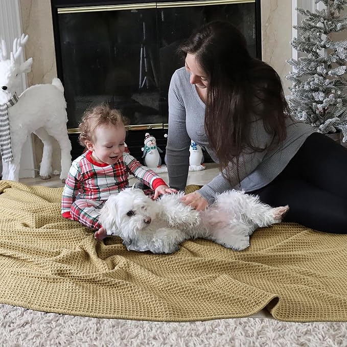 Tex Trend 100% Cotton Blanket – Soft and Breathable Twin XL Waffle Blanket – All Season Comfort – Suitable for Bed Layering, Sofa, Couch - Khaki (60”x90”)