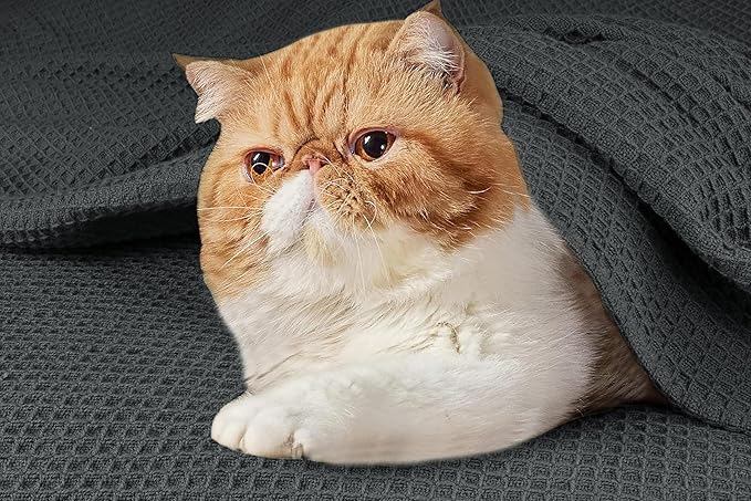 Tex Trend Gray Waffle Blanket – 100% Cotton Blankets Queen Size – Breathable and Soft for Summer Spring – Suitable for Bed Layering, Sofa – Gray (90”x90”)