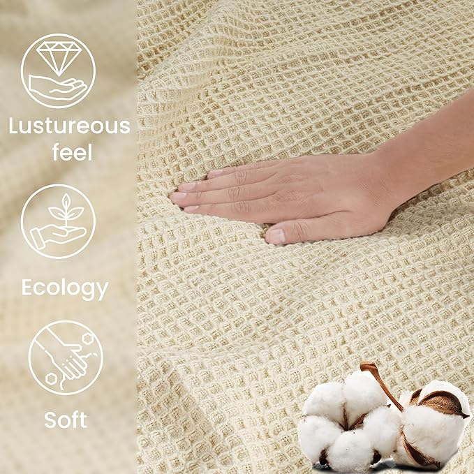 Tex Trend 100% Cotton Blanket – Soft and Breathable Twin XL Ivory Waffle Blanket – All Season Comfort – Suitable for Bed Layering, Sofa, Couch - Ivory (60”x90”)