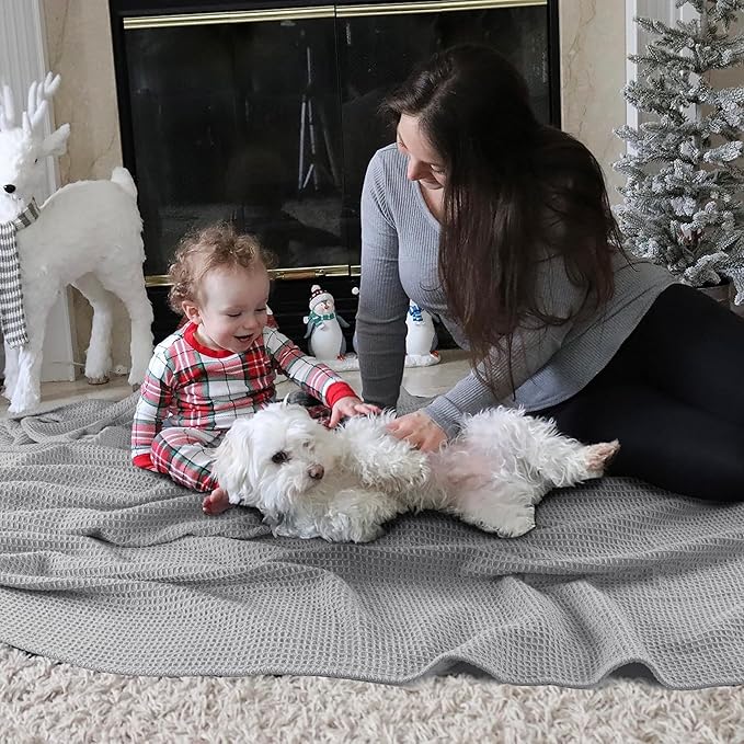 Tex Trend 100% Cotton Blanket – Soft and Breathable Twin XL Waffle Blanket – All Season Comfort – Suitable for Bed Layering, Sofa, Couch - Light Grey (60”x90”)