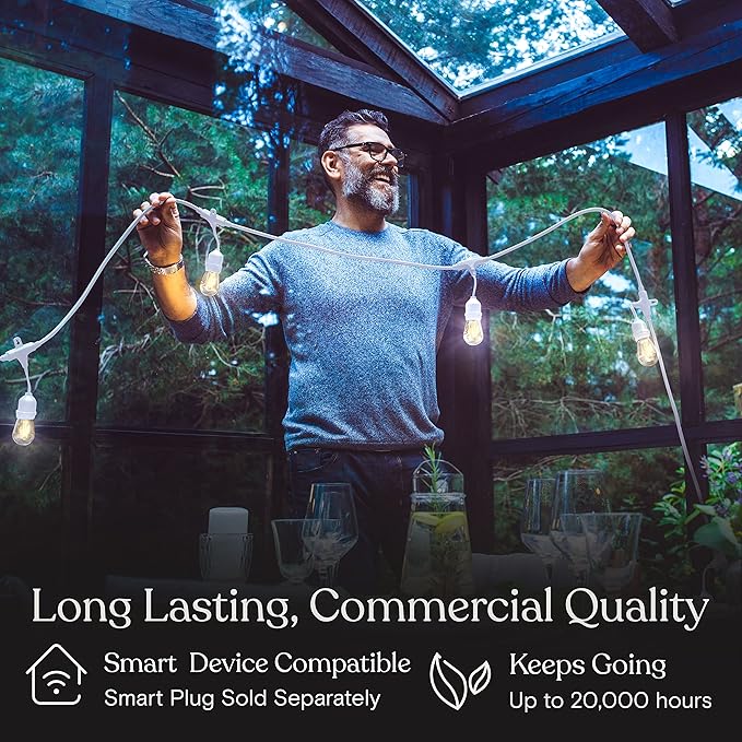 Brightech Ambience Pro Waterproof LED Outdoor String Lights, 48 Ft, Hanging, Dimmable Vintage Edison Bulbs, 15 Bulbs, 2W