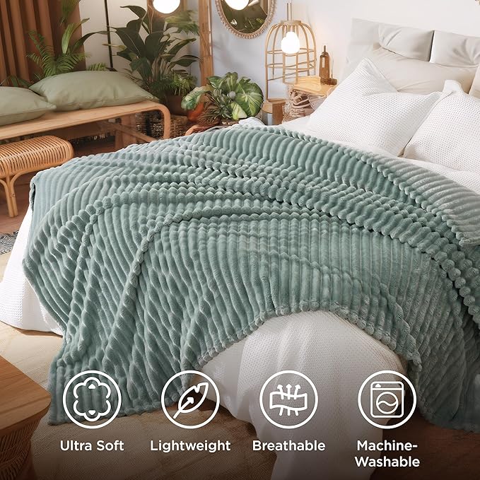 Bedsure GentleSoft Blankets Queen Size for Bed - Cozy Soft Blankets for Women, Cute Large Fleece Throws for Girls, Sage Green, 90x90 Inches