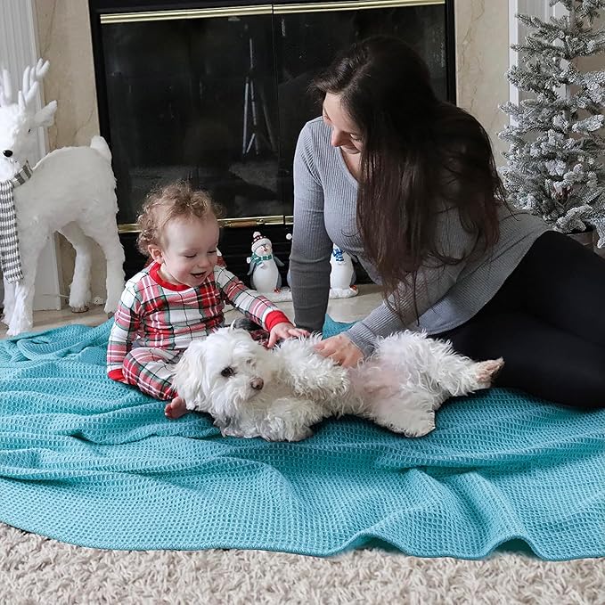 Tex Trend 100% Cotton Blankets – Soft and Breathable Twin XL Waffle Blanket – All Season Comfort – Suitable for Bed Layering, Sofa, Couch and Chair – Blue (60”x90”)